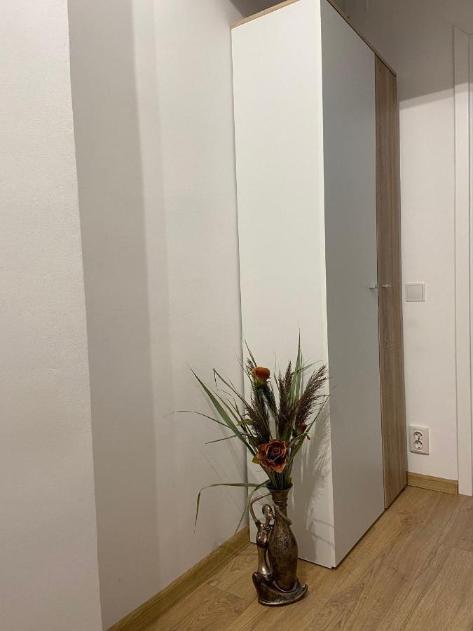 Daniela'S Apartaments Сигишоара Екстериор снимка